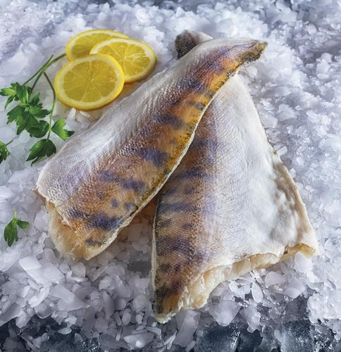 Candát filet s kůží, 1 kg