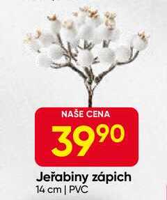 Jeřabiny zápich 14 cm, PVC 