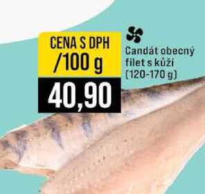 Candát obecný filet s kůží 120-170 g 100g