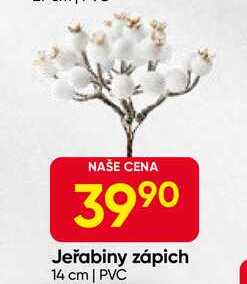 Jeřabiny zápich 14 cm | PVC 