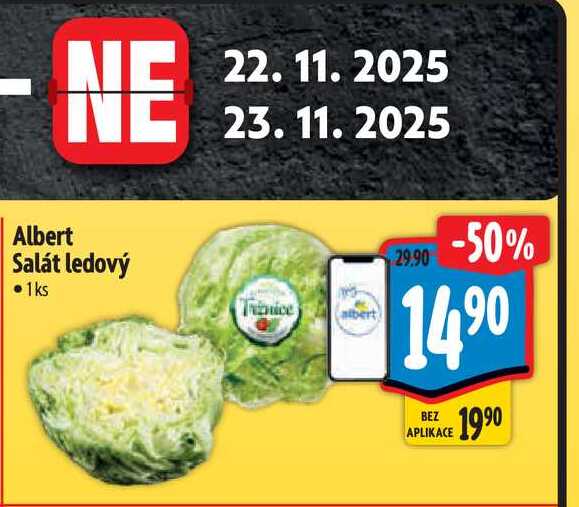  Albert Salát ledový 1 ks