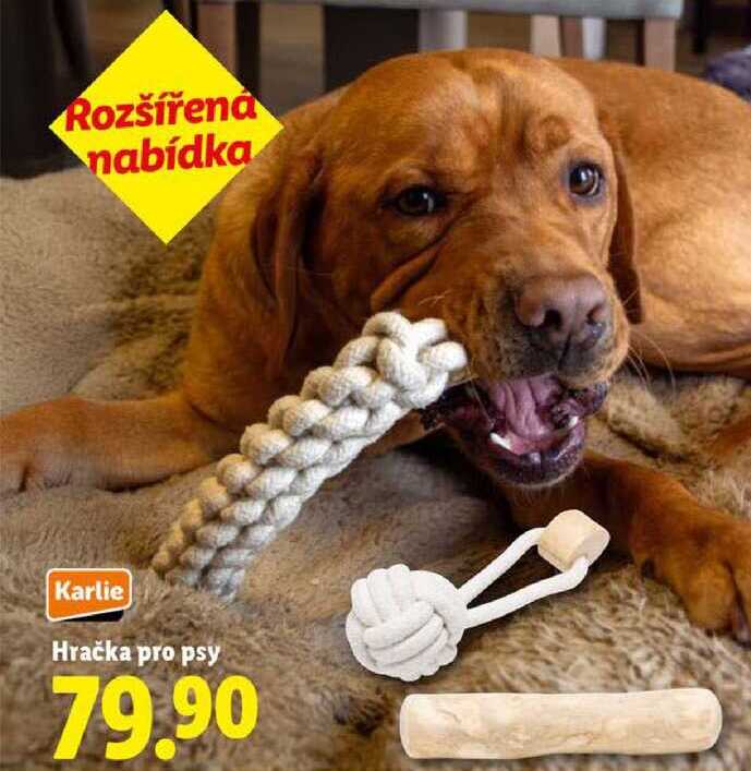 Hračka pro psy