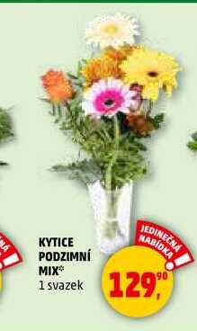 KYTICE PODZIMNÍ MIX, 1 svazek