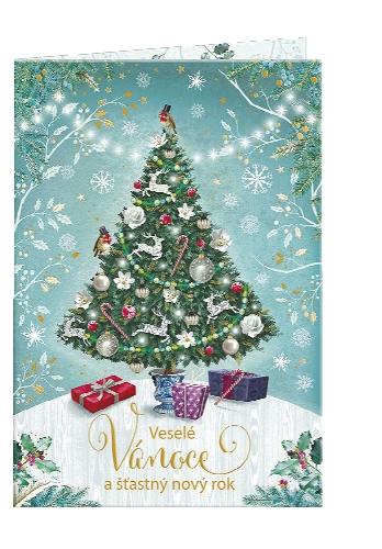 Blahopřání s nahráním vzkazu, 1 KS