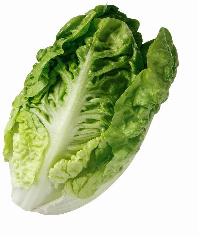 Salát římský mini