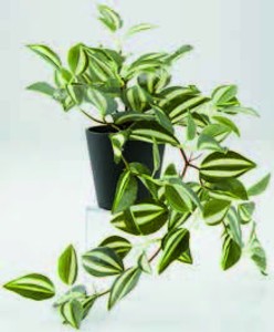 Umělá rostlina ASGAR