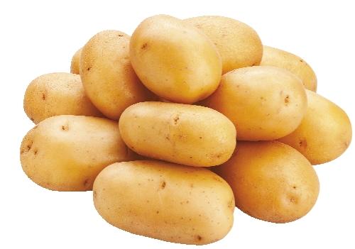 Brambory konzumní pozdní, 2.5 kg