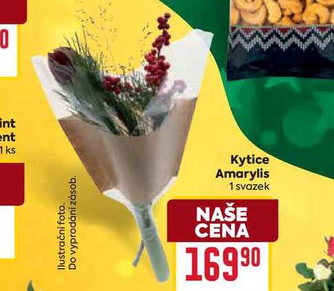 Kytice Amarylis 1 svazek