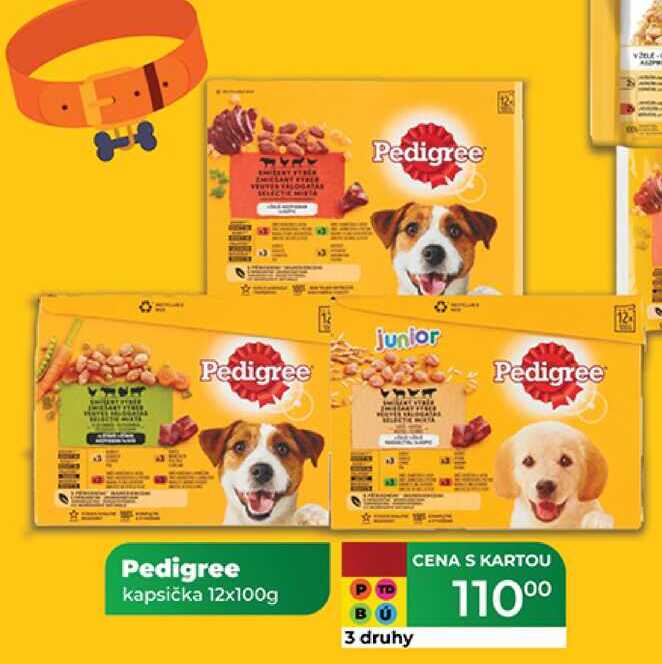 Pedigree kapsička 12x100g 