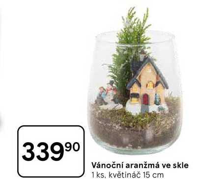 Vánoční aranžmá ve skle, 1 ks, květináč 15 cm 