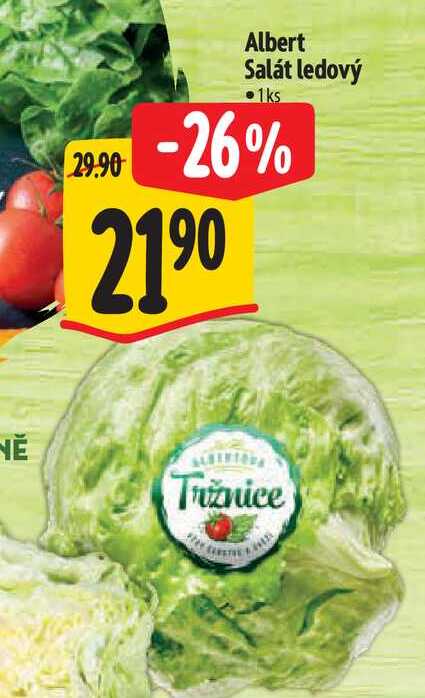  Albert Salát ledový 1ks   