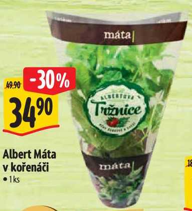 Albert Máta v kořenáči 