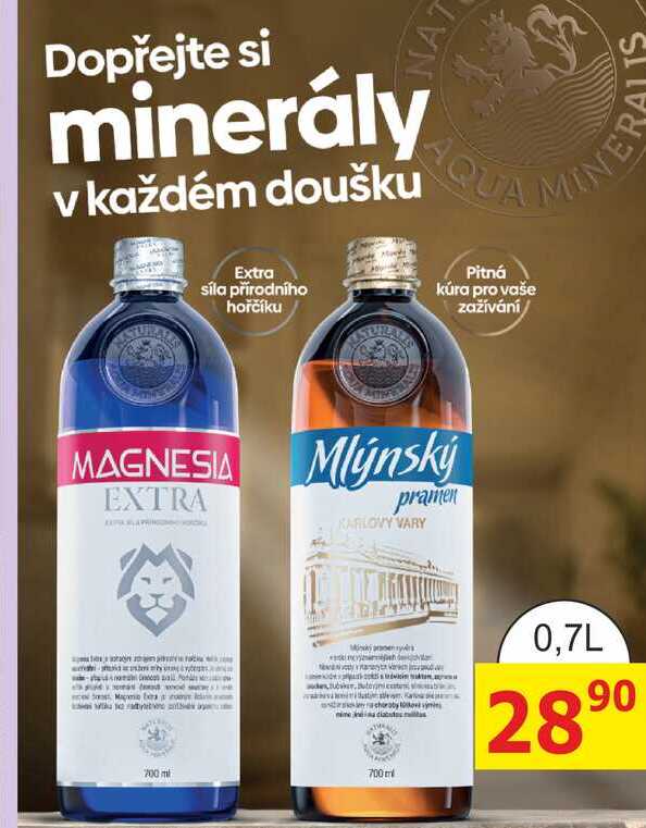 Mlýnský pramen 700ml