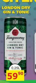 Tanqueray LONDON DRY GIN & TONIC 0,25L míchaný drink