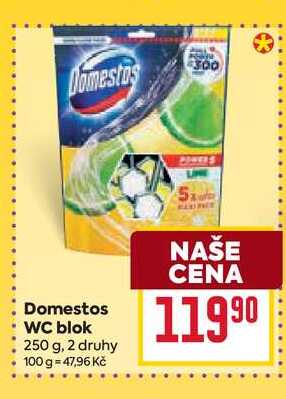Domestos WC blok 250 g