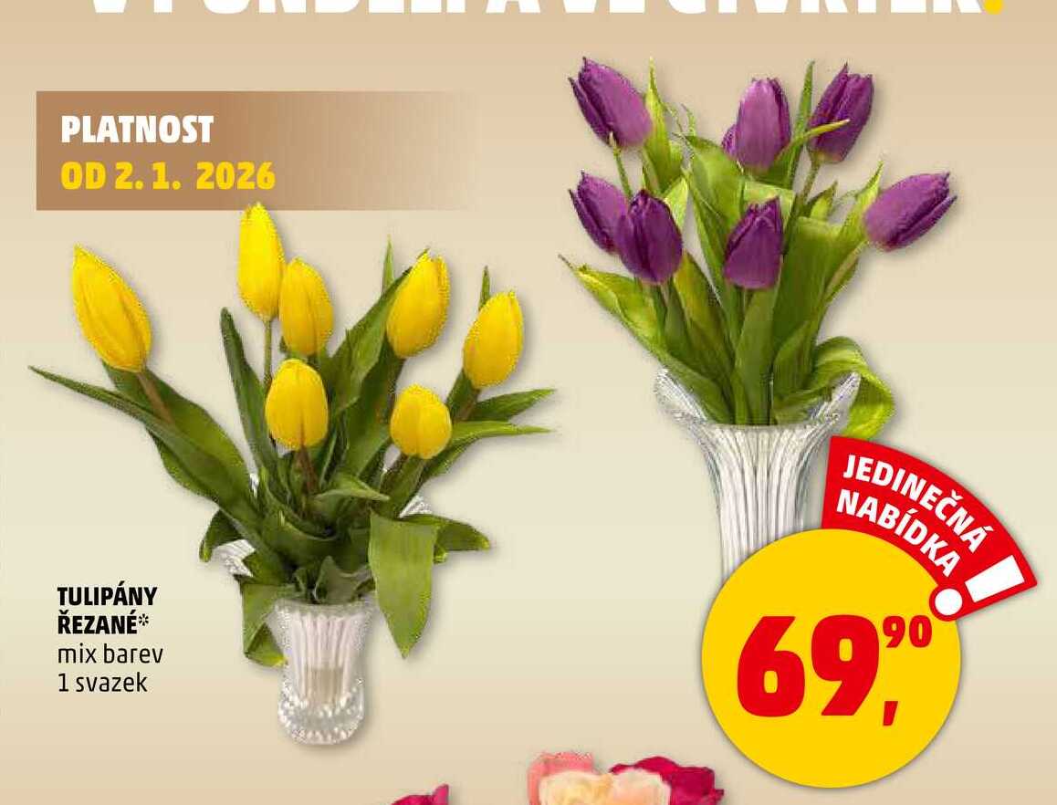 TULIPÁNY ŘEZANÉ, 1 svazek