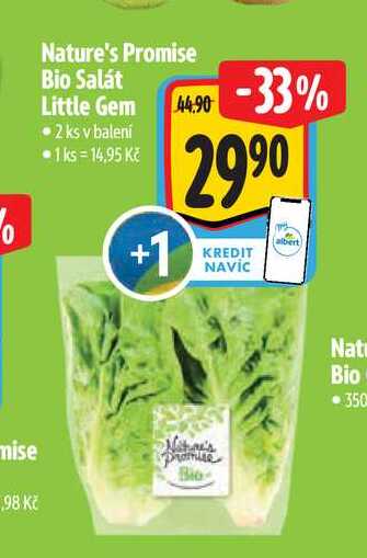 Nature's Promise Bio Salát Little Gem 2 ks  