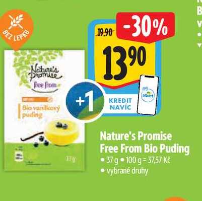  Nature's Promise Free From Bio Puding 37 g 