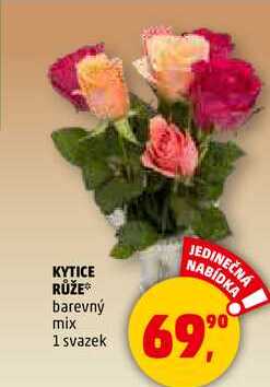 KYTICE RŮŽE, 1 svazek 