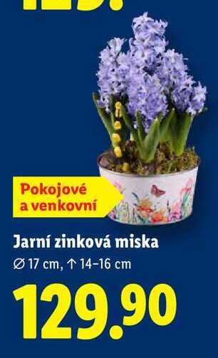 Jarní zinková miska