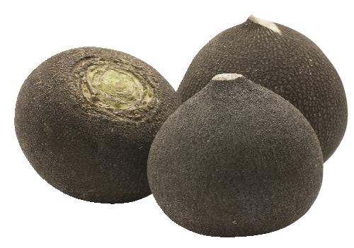 Ředkev černá, 1 kg