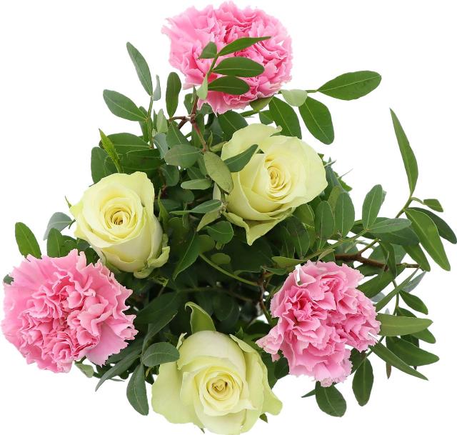 Kytice růže a karafiáty