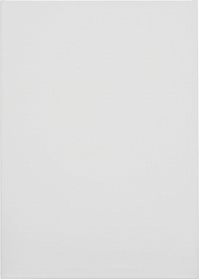 Talentus Malířské plátno rozměry: 50 x 70 cm