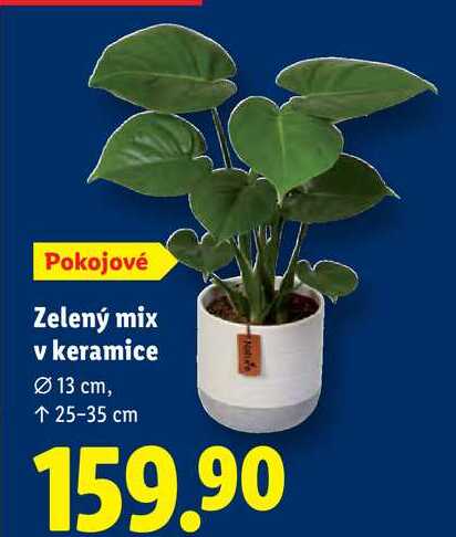 Zelený mix v keramice