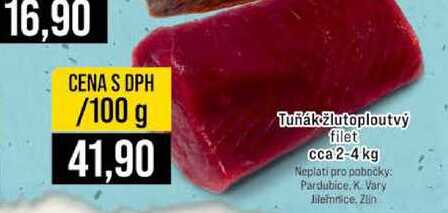 Tuňák žlutoploutvý filet cca 2-4 kg 100g