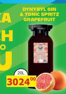 DYNYBYL GIN & TONIC SPRITZ GRAPEFRUIT 20L