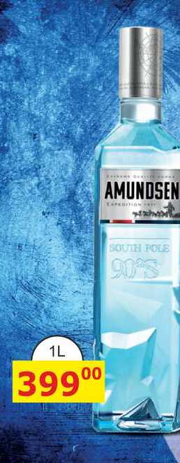 AMUNDSEN EXPEDITION SOUTH POLE 90'S 1l
