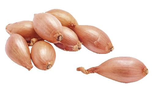 Cibule šalotka, 500 g