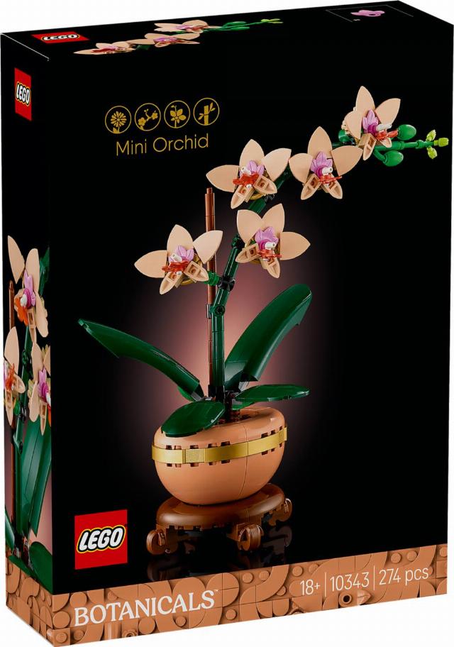 LEGO® Botanicals Miniaturní orchidej 10343
