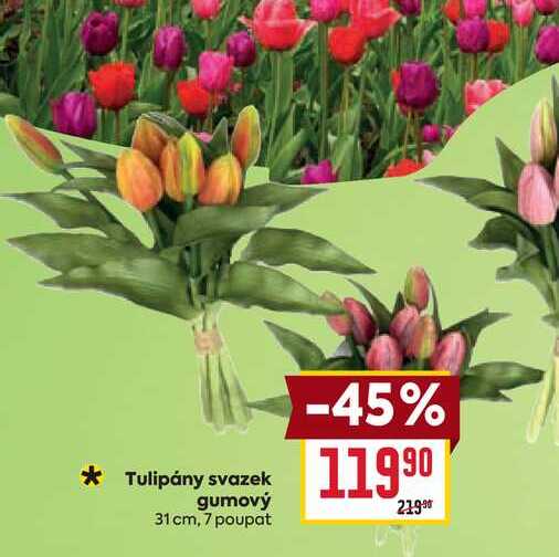 Tulipány svazek gumový 31 cm, 7 poupat 