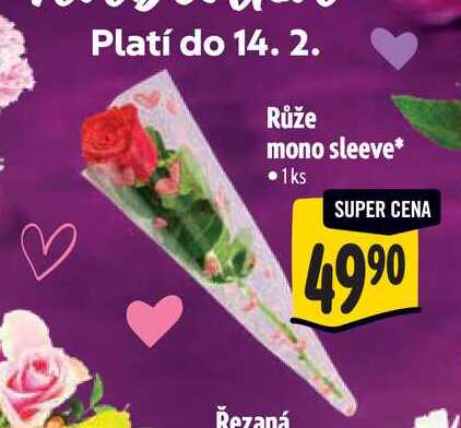   Růže mono sleeve 1ks  