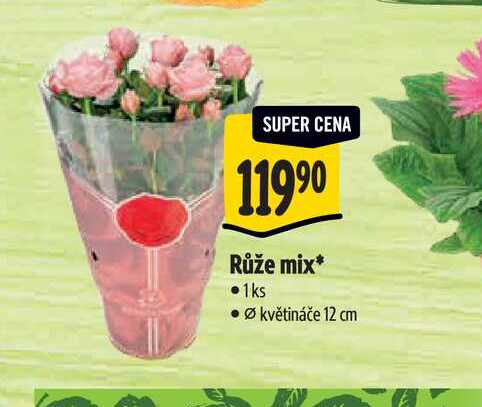   Růže mix, pr. květináče 12 cm 