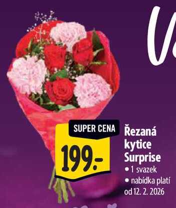 Řezaná kytice Surprise