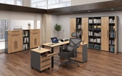 Pracovna - skříň na šanony