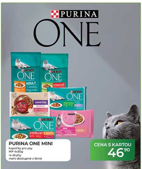 PURINA ONE MINI kapsičky pro psy MP 4 x 85g