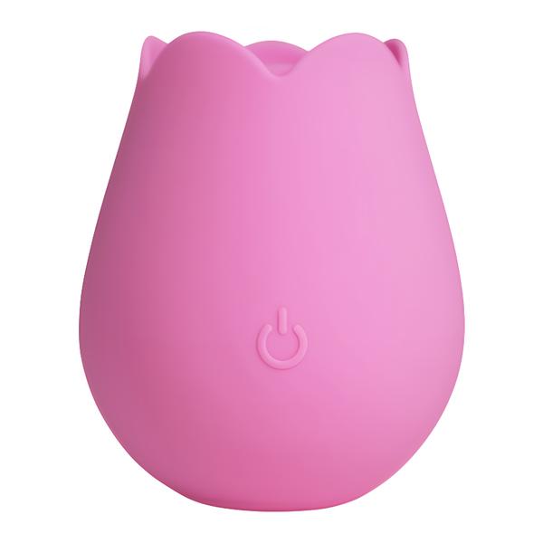 PlusOne Růžová rozkoš Bloom