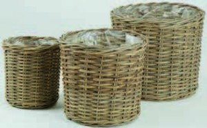 Proutěný květináč SANSEBIE