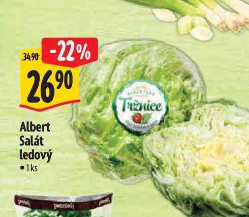   Albert Salát ledový  1ks  