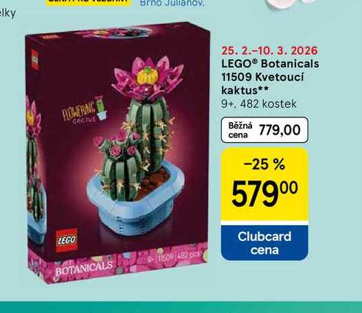 LEGO® Botanicals 11509 Kvetoucí kaktus