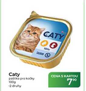 Caty patika pro kočky 100g