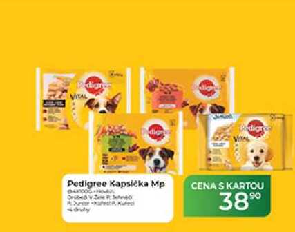 Pedigree Kapsička Mp