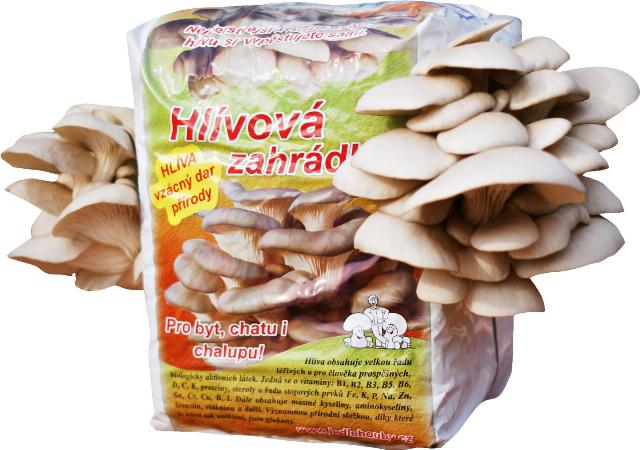 Hlívová zahrádka objem: 15 l