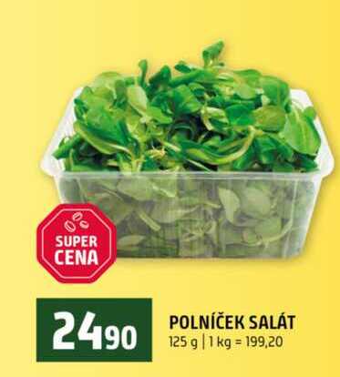 POLNÍČEK SALÁT 125 g