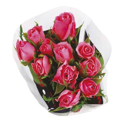 Růže velké 11 kusů, 1 KS