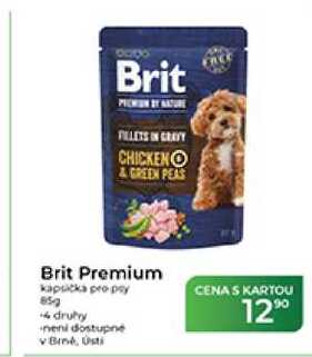 Brit Premium kapsička pro psy 85g