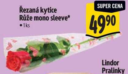 Řezaná kytice Růže mono sleeve